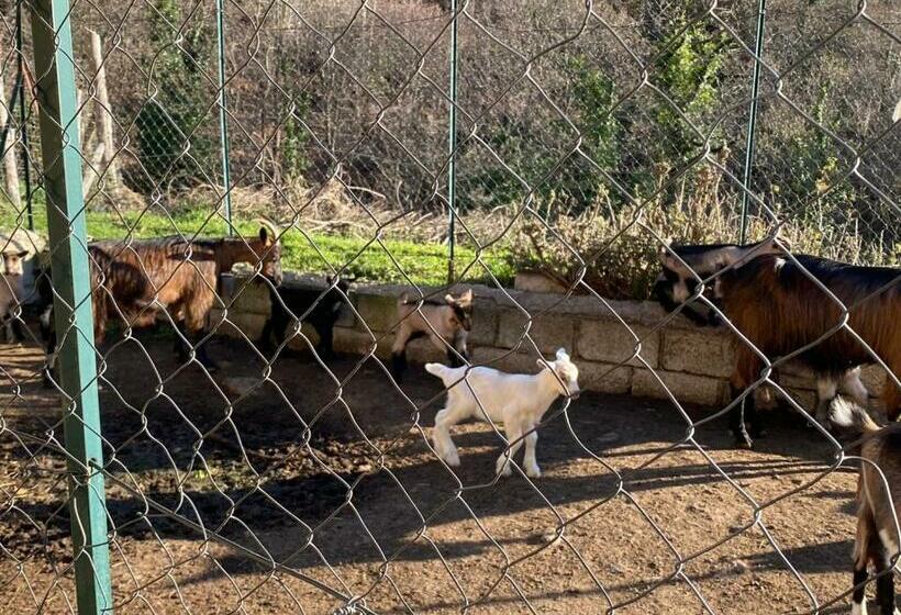 فندق Agriturismo La Pigna