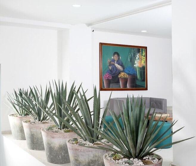 Отель Círculo Condesa