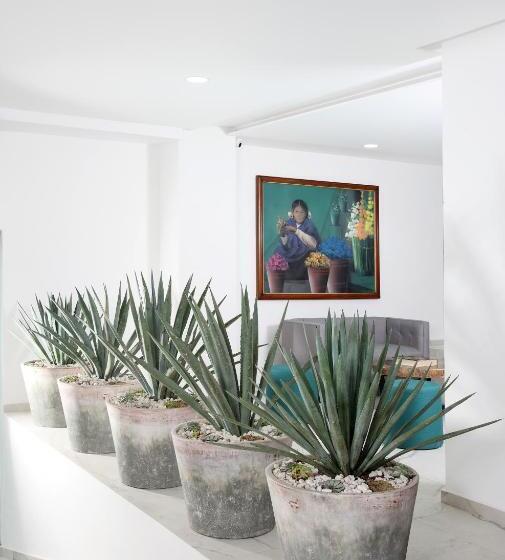 Отель Círculo Condesa