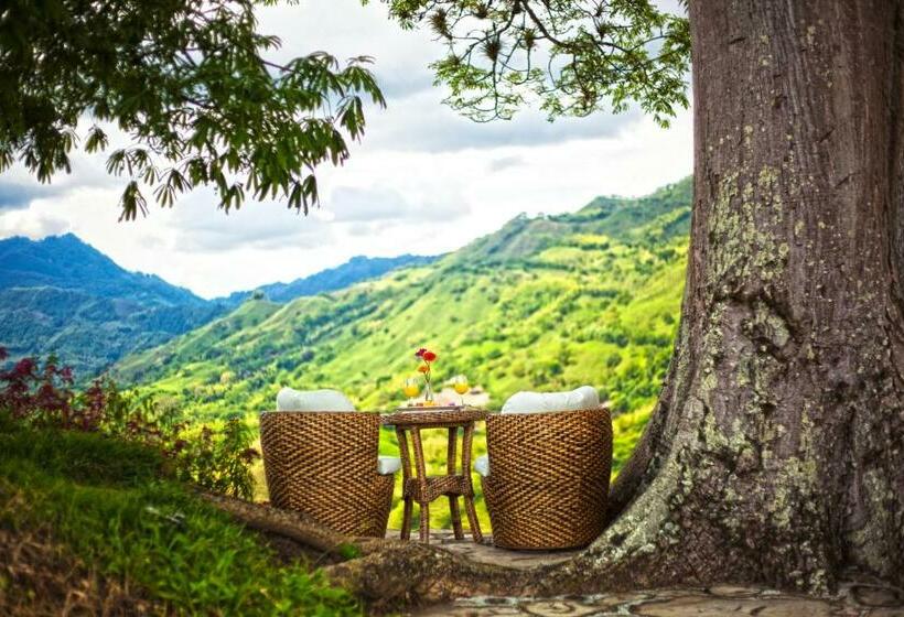 酒店 Hacienda Buenavista