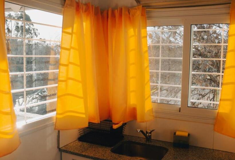 Jazmines Departamentos