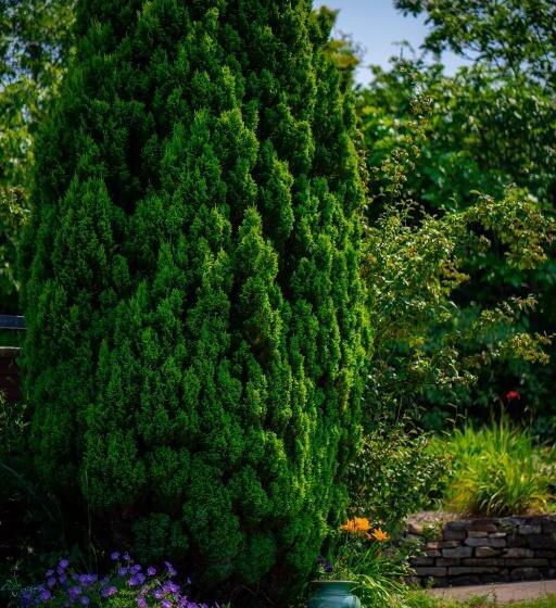 Park Lodge Bed And Breakfast