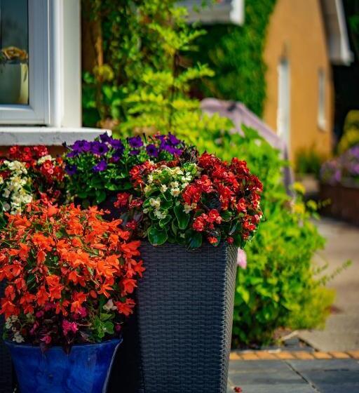 Park Lodge Bed And Breakfast