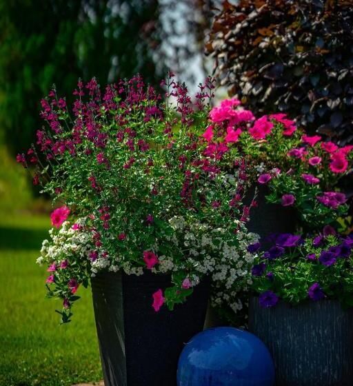 Park Lodge Bed And Breakfast