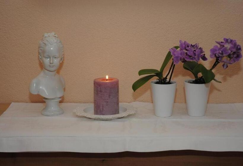 بنسيون Gästehaus Rieser