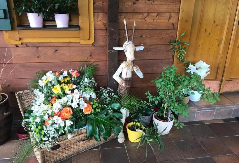 펜션 Penzion Haltmar