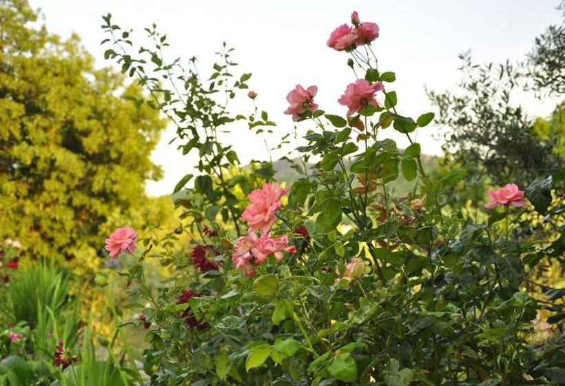 ペンション Vila Maria