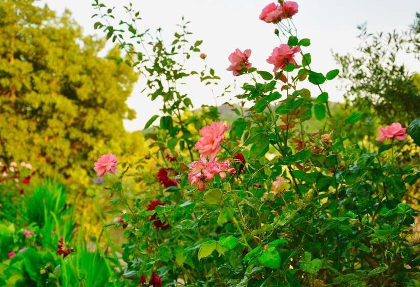 ペンション Vila Maria