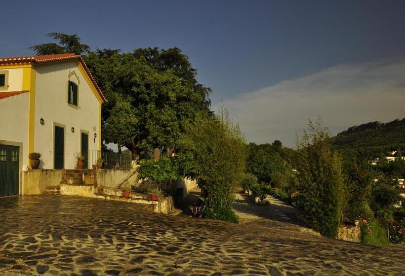 פנסיון Vila Maria