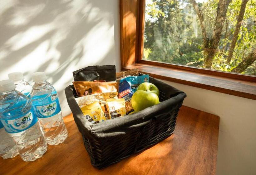 膳宿费 Winter Suites Campos Do Jordão Capivari