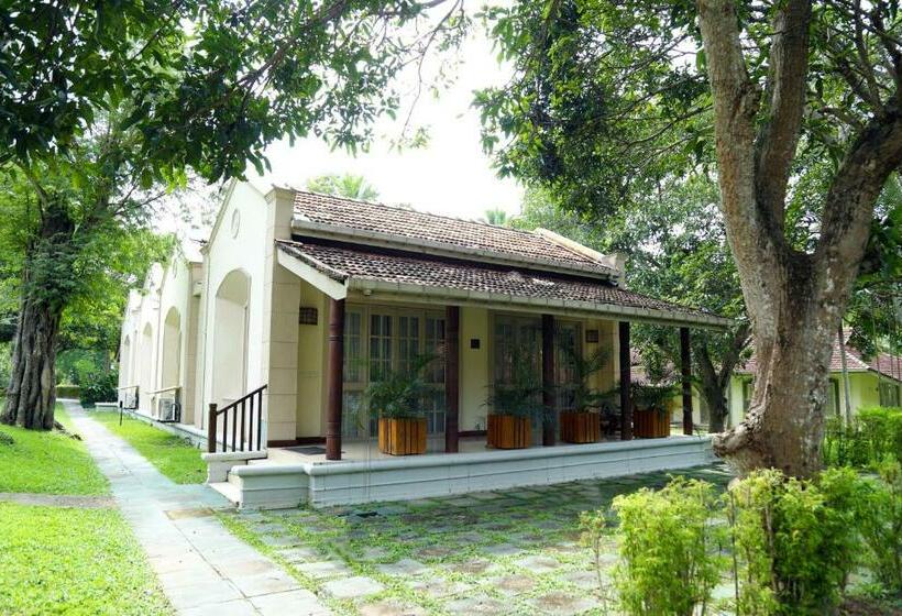 Tamarind Tree Garden Resort   Katunayake