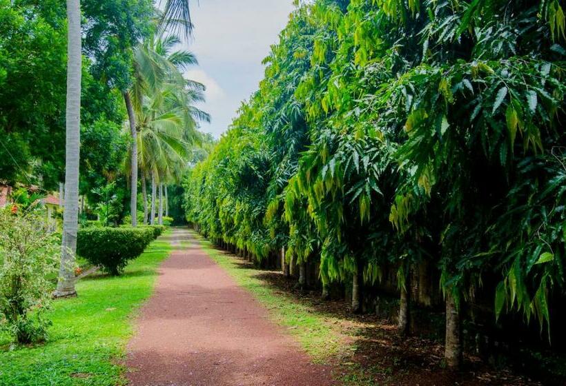 Tamarind Tree Garden Resort   Katunayake