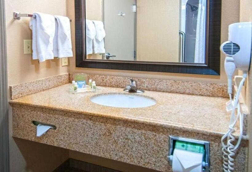Holiday Inn Hotel & Suites Slidell, An Ihg