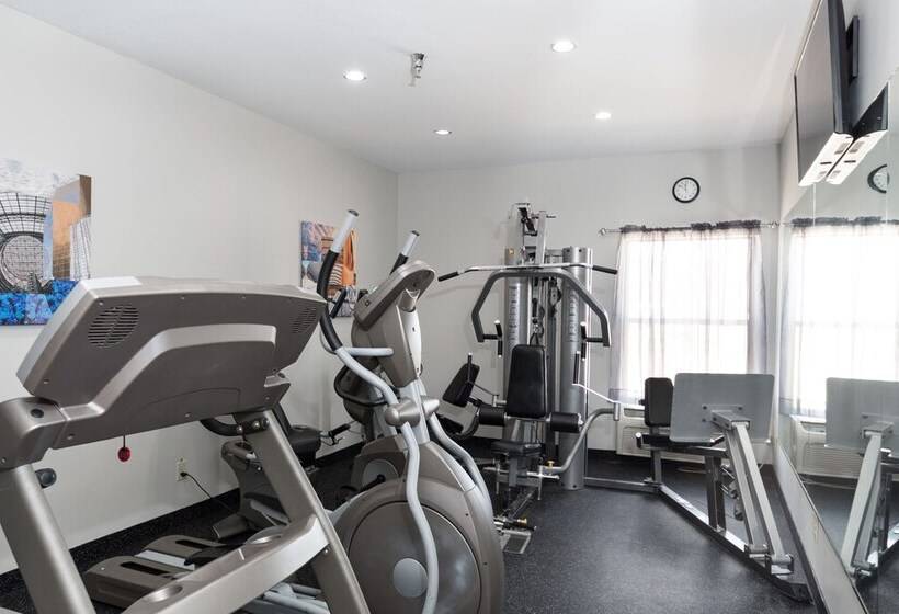 호텔 Baymont By Wyndham Morton