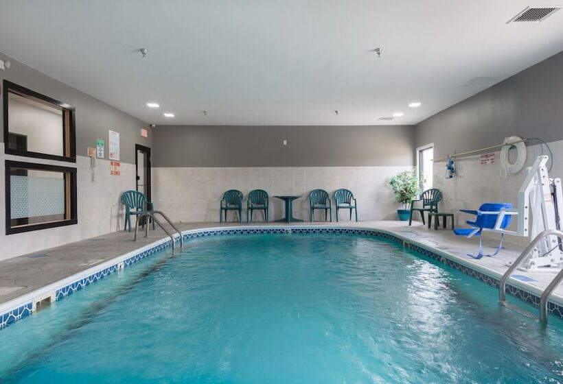 호텔 Baymont By Wyndham Morton