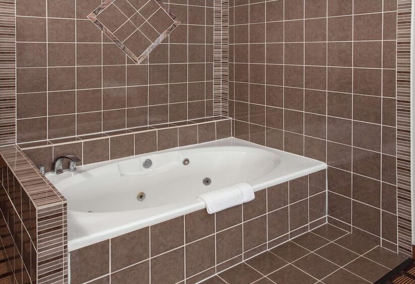 호텔 Baymont By Wyndham Morton