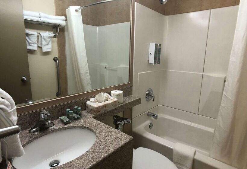 Отель Best Western Jamaica Inn