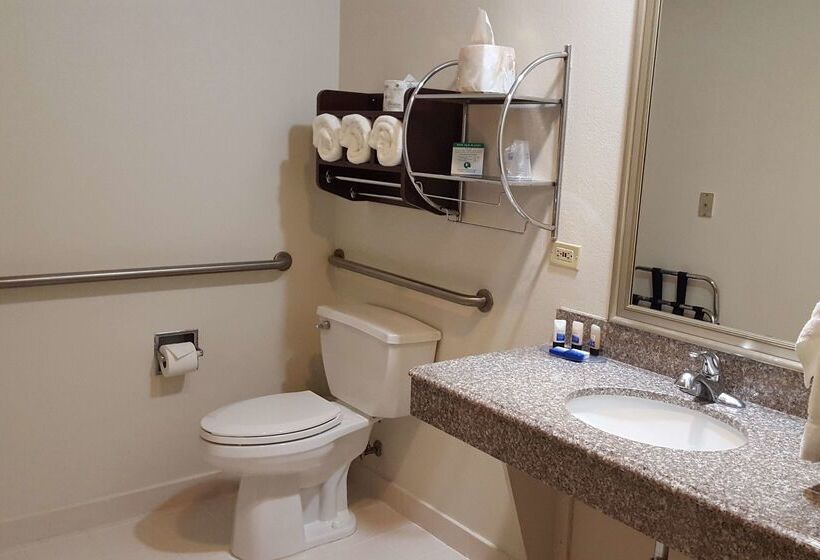 酒店 Best Western Plus O Hare International South