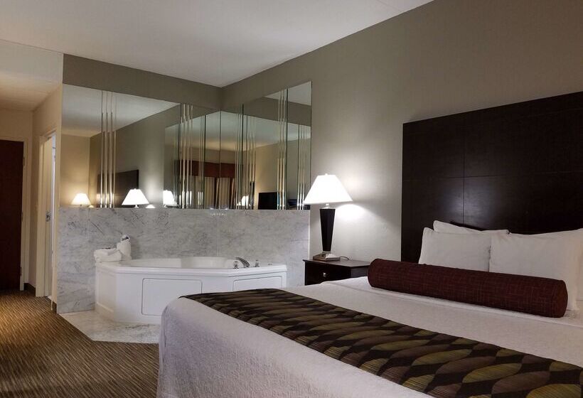 酒店 Best Western Plus O Hare International South