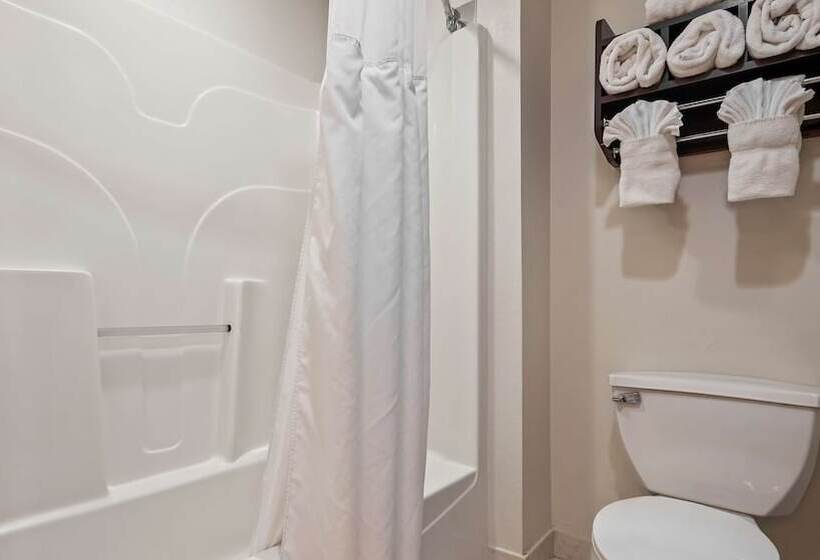 酒店 Best Western Plus O Hare International South