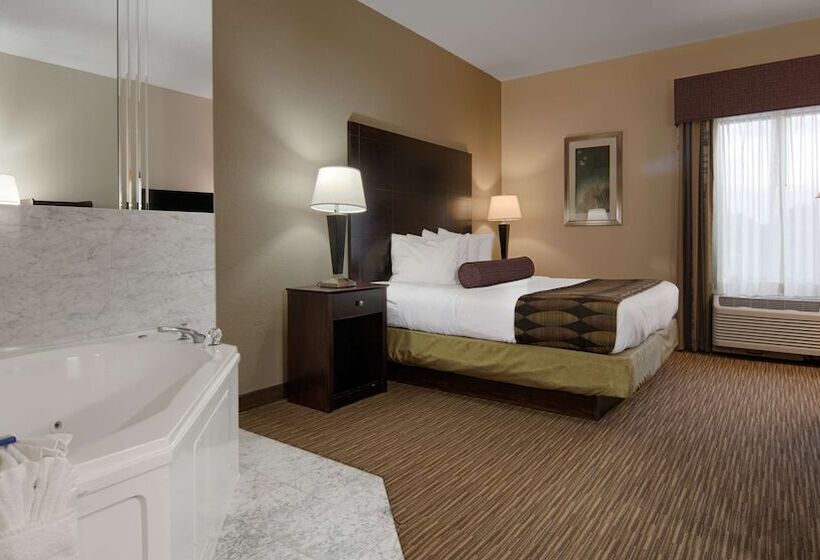 酒店 Best Western Plus O Hare International South