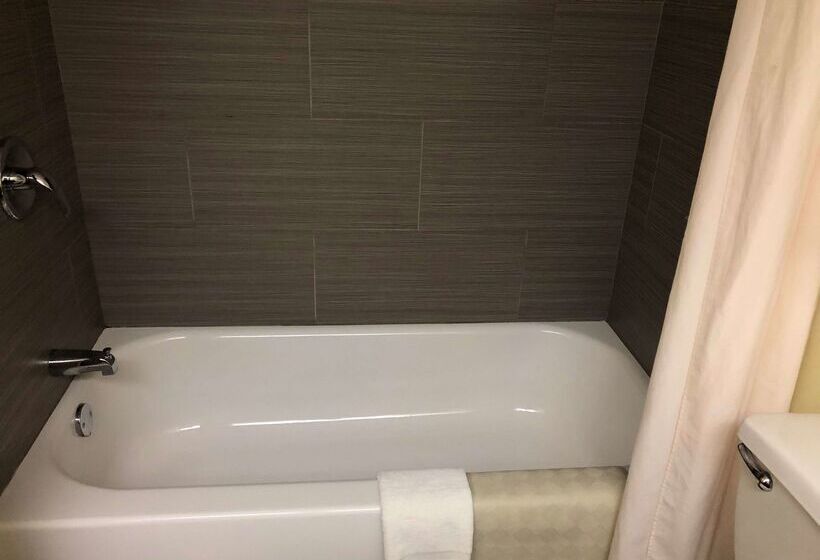 فندق Best Western Rayne Inn