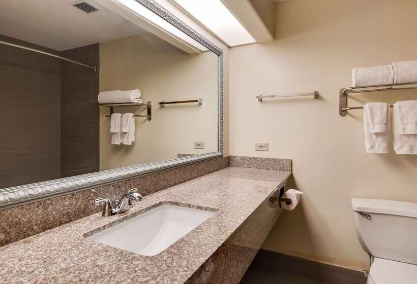 فندق Best Western Rayne Inn