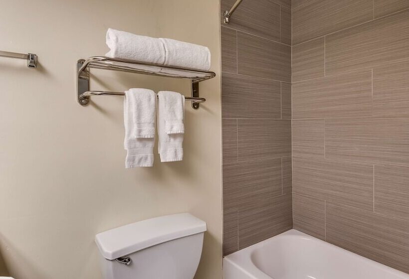 فندق Best Western Rayne Inn