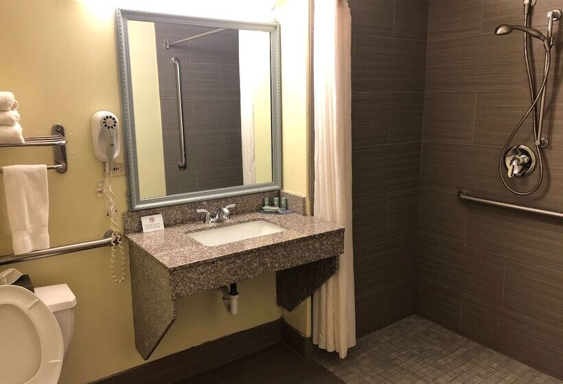 فندق Best Western Rayne Inn