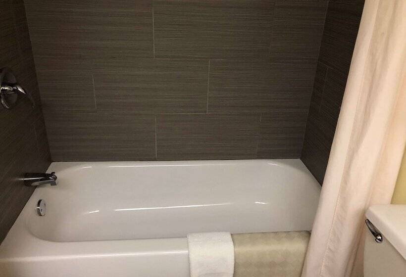 فندق Best Western Rayne Inn