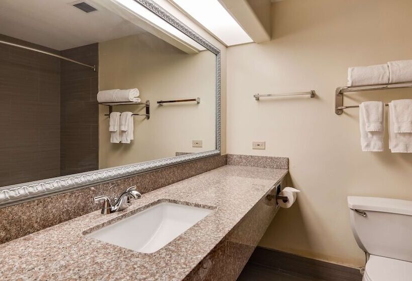 فندق Best Western Rayne Inn