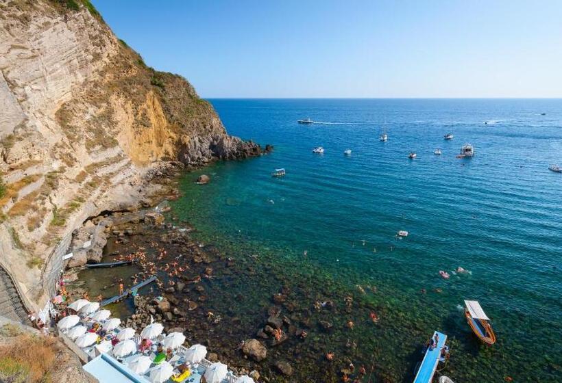 فندق Castiglione