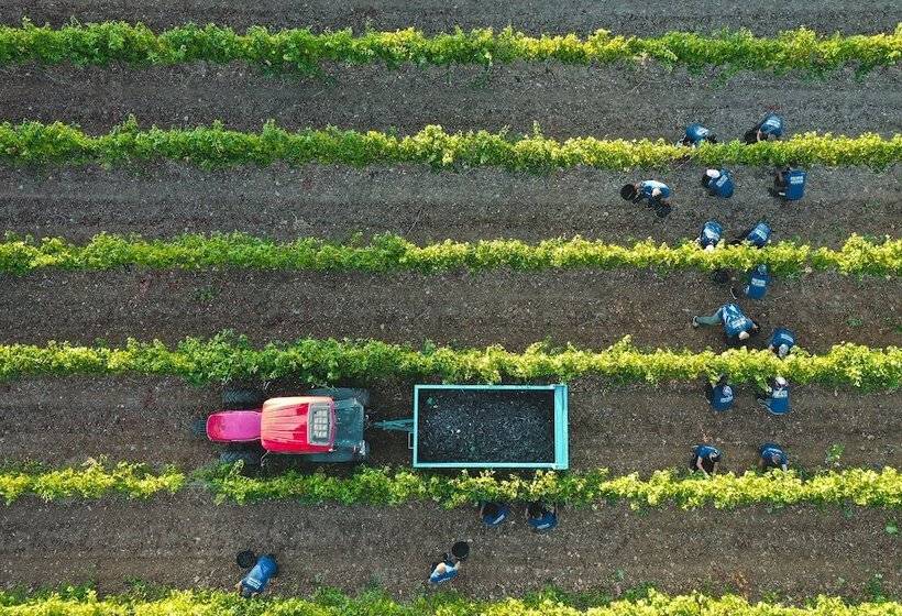 酒店 Chateau De Berne