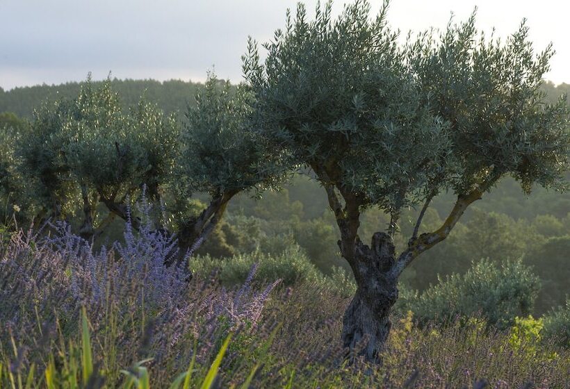 酒店 Chateau De Berne