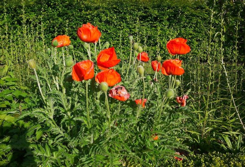 فندق Chateau Des Briottieres