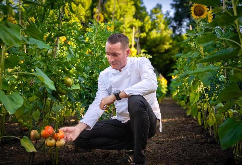 فندق Château De Valmer