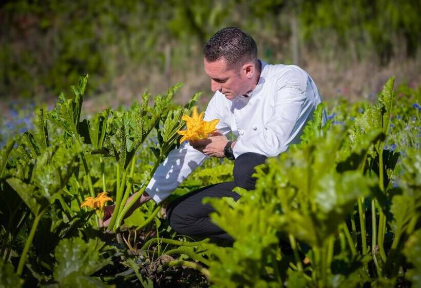 فندق Château De Valmer