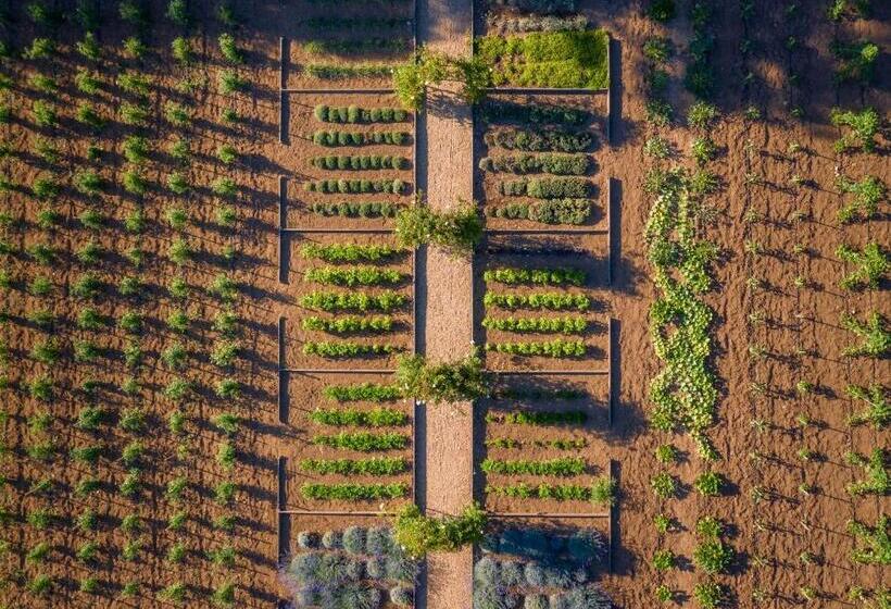 فندق Château De Valmer