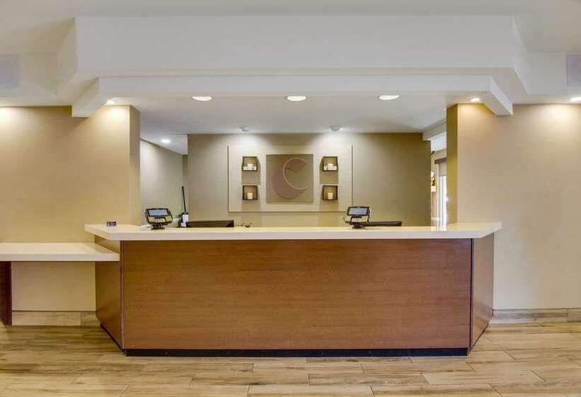 فندق Comfort Inn Airport