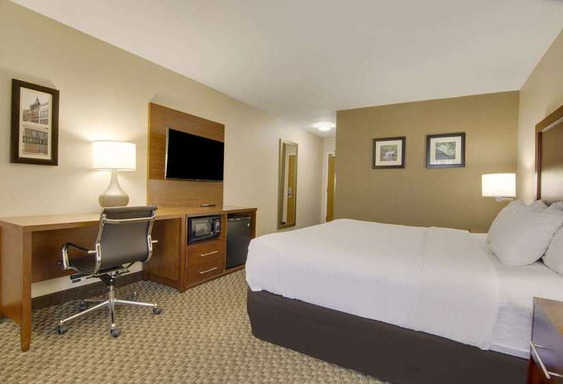 فندق Comfort Inn Airport