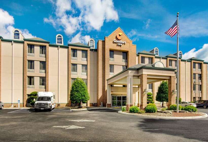 فندق Comfort Inn Airport