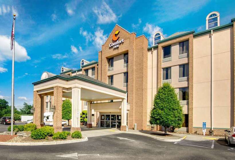 فندق Comfort Inn Airport