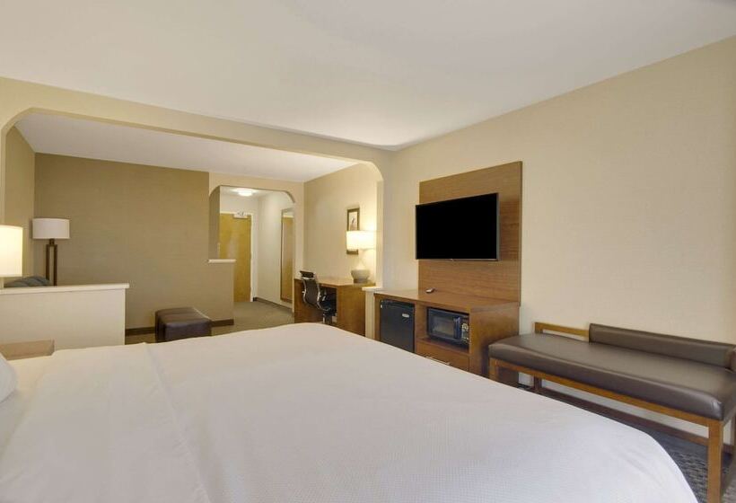 فندق Comfort Inn Airport