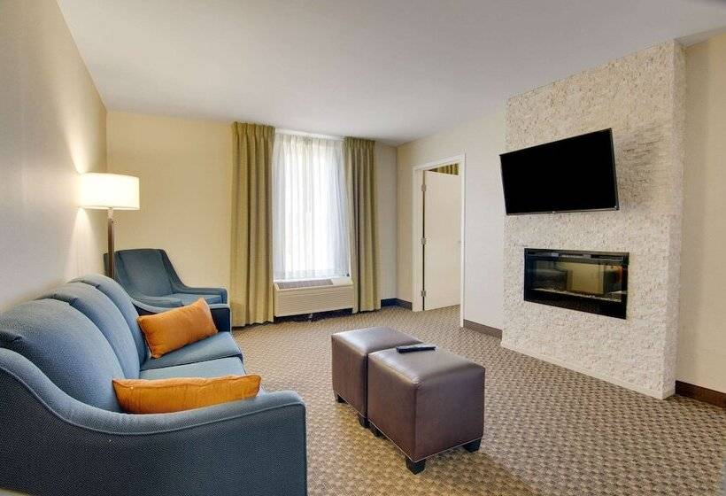 فندق Comfort Inn Airport