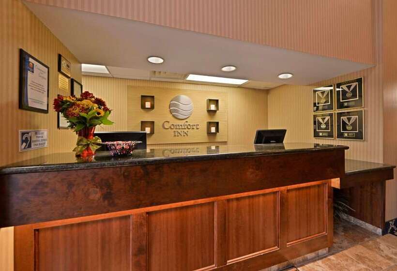 فندق Comfort Inn