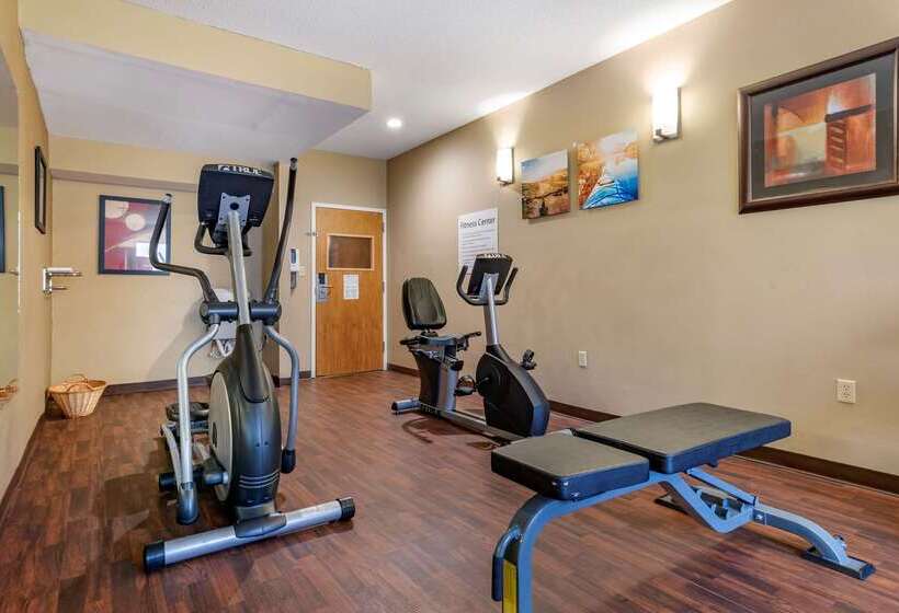 בית מלון כפרי Comfort Inn Amite