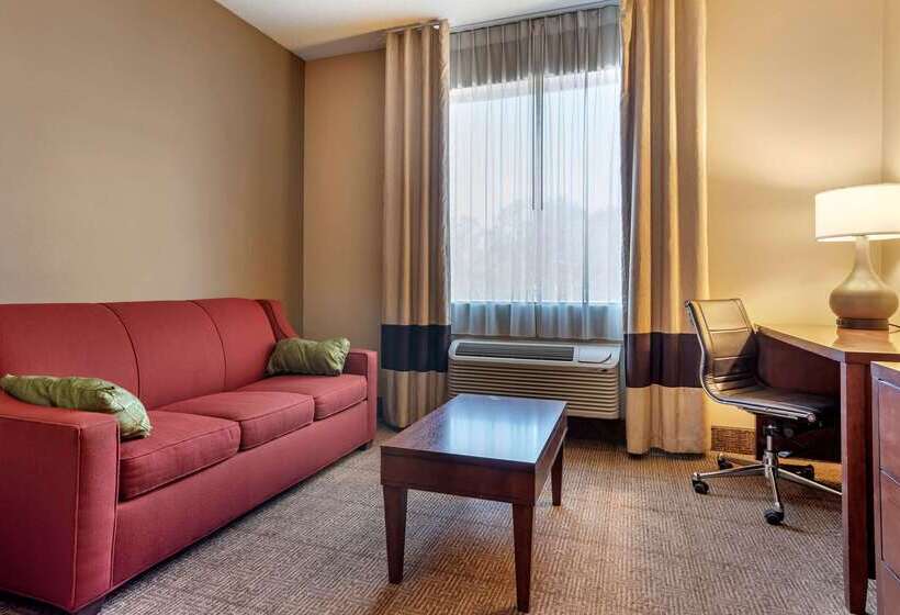 בית מלון כפרי Comfort Inn Amite