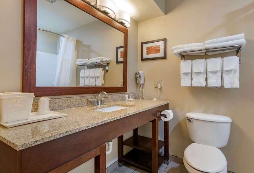 בית מלון כפרי Comfort Inn Amite