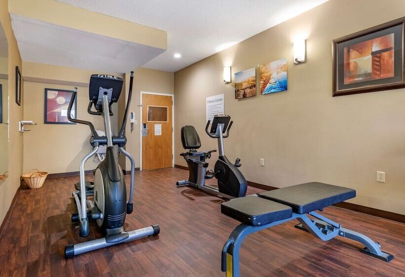 בית מלון כפרי Comfort Inn Amite