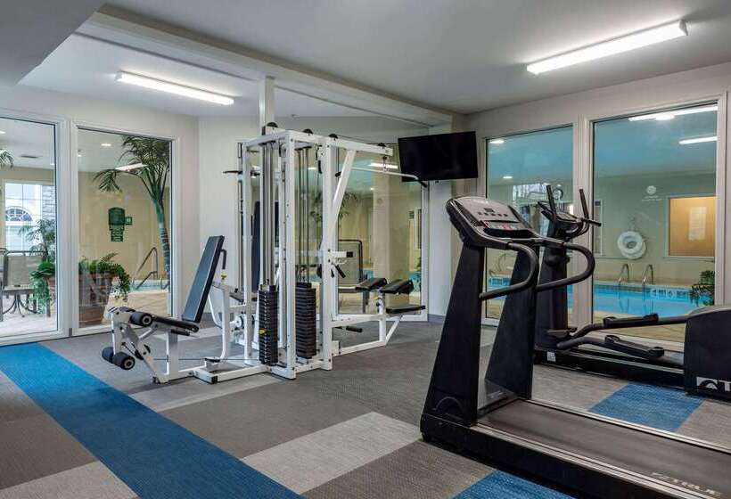 호텔 Comfort Inn & Suites East Greenbush   Albany